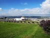 Panorámica